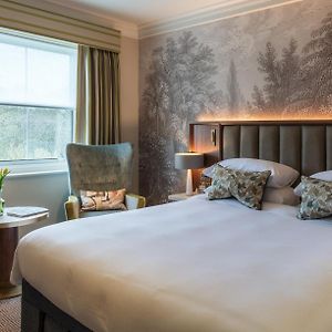 Plush Room